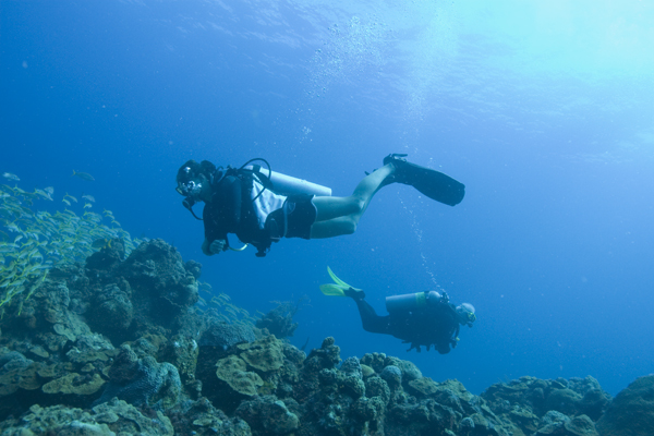 BahamasSept2007_099